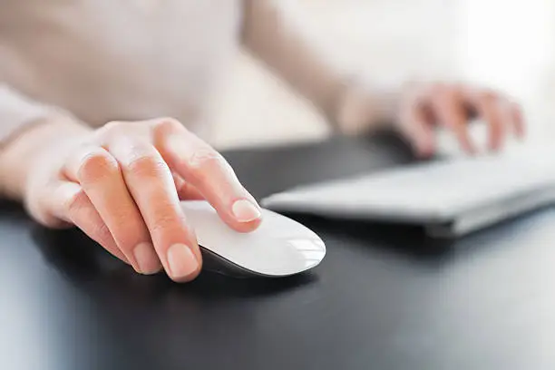 Computer mice category