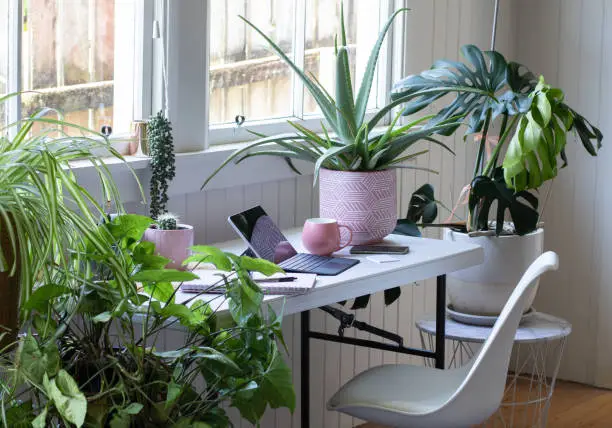 Person using trending tech accessories at a desk